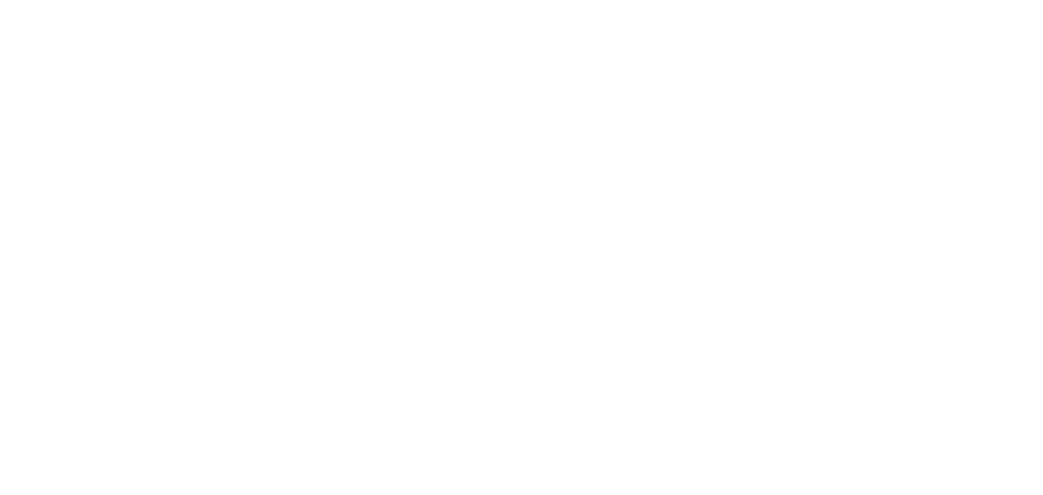 Stripe wordmark - White - Small